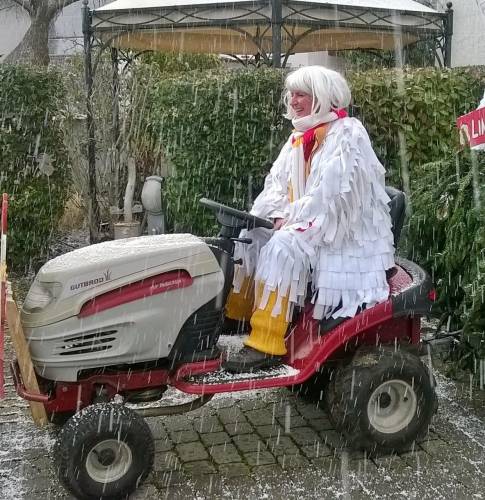 Rosenmontag Linx 2018 1